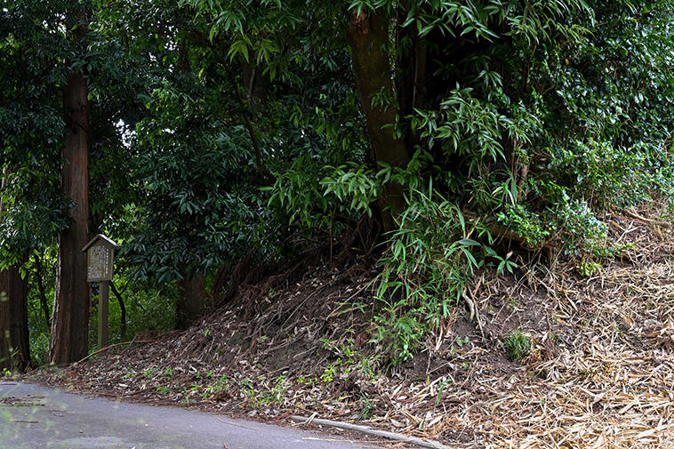 北限の土塁跡の写真